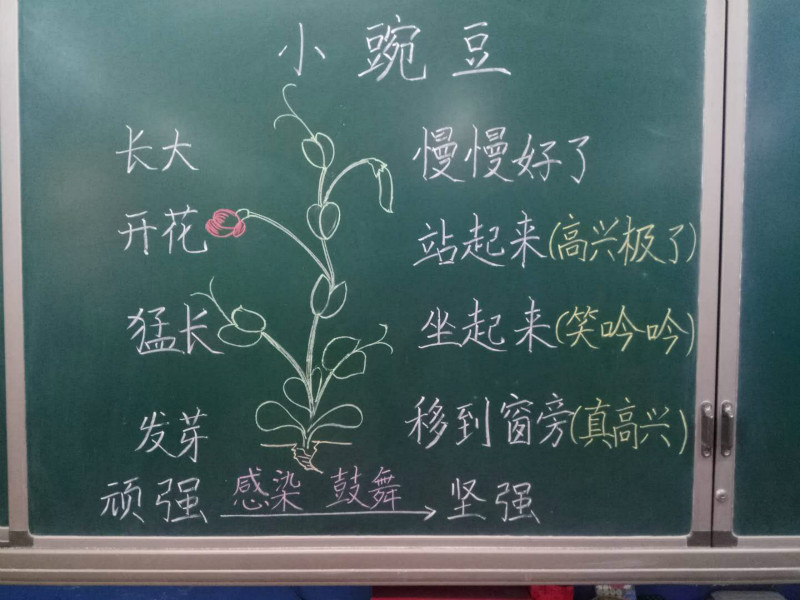 夯实基础,扎根教学——兴华小学举行教师板书设计大赛